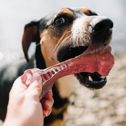 Dog Toys Aggressive Chewers Large Dogs Bone-Shaped Indestructible Dog Toys Nylon Interactive Dog Toys Teeth Cleaning