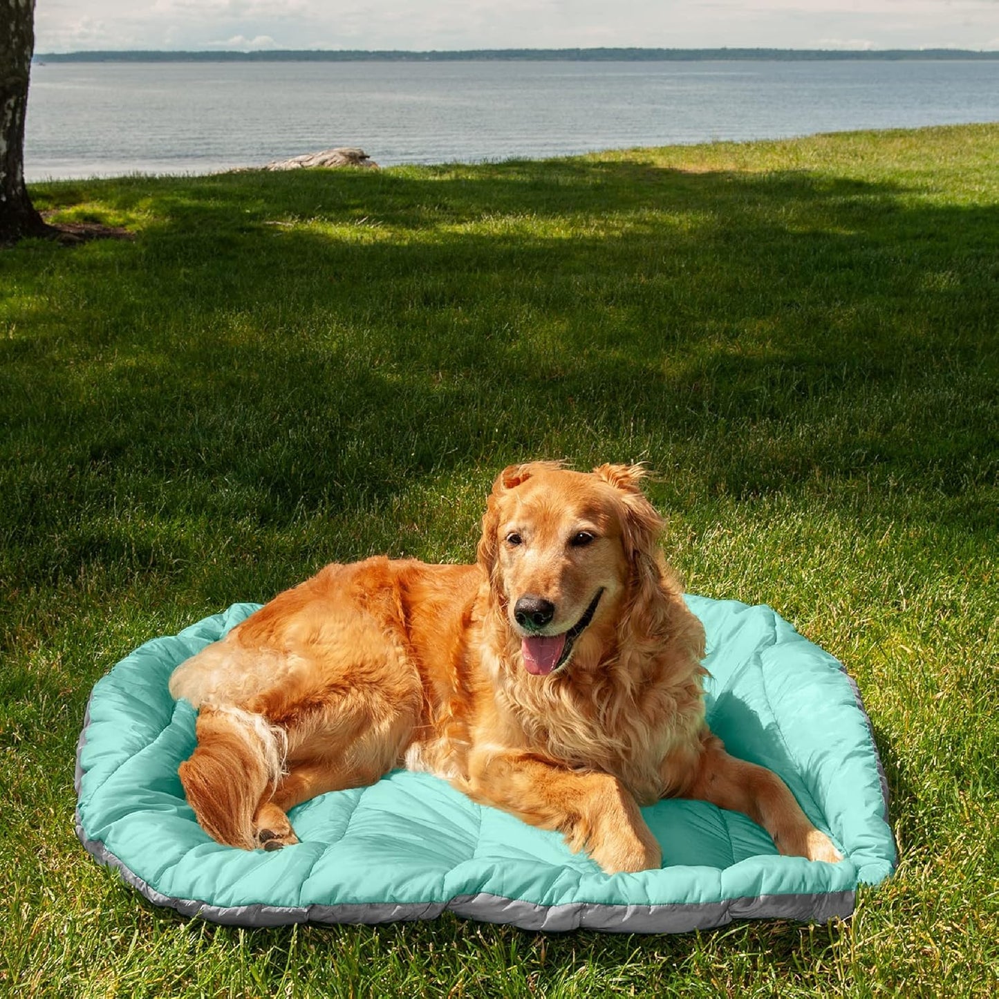 Outdoor Travel Dog Bed for Large/Medium Dogs W/ Carry Bag, Washable & Foldable, Great for Crates & Kennels - Trail Pup Travel Pillow Mat W/ Stuff Sack Bag - Aqua/Granite Gray, Large