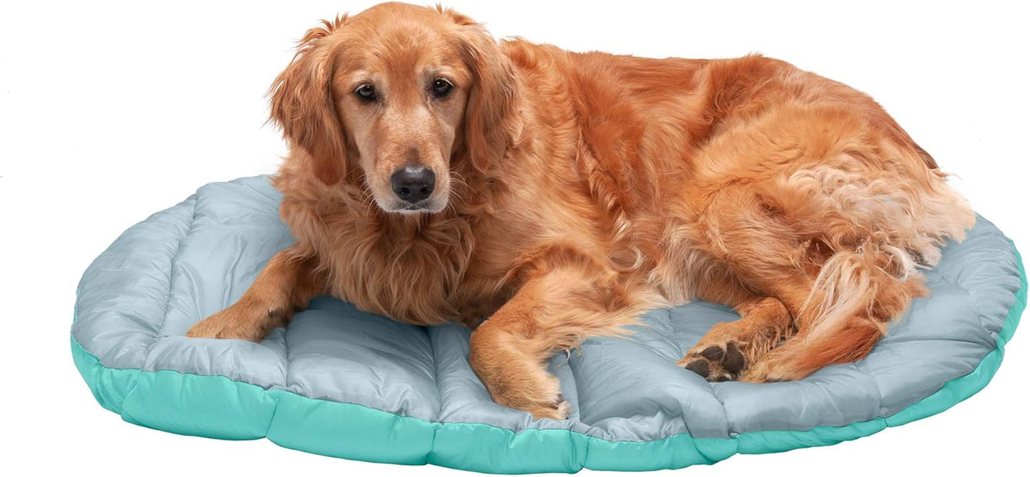 Outdoor Travel Dog Bed for Large/Medium Dogs W/ Carry Bag, Washable & Foldable, Great for Crates & Kennels - Trail Pup Travel Pillow Mat W/ Stuff Sack Bag - Aqua/Granite Gray, Large