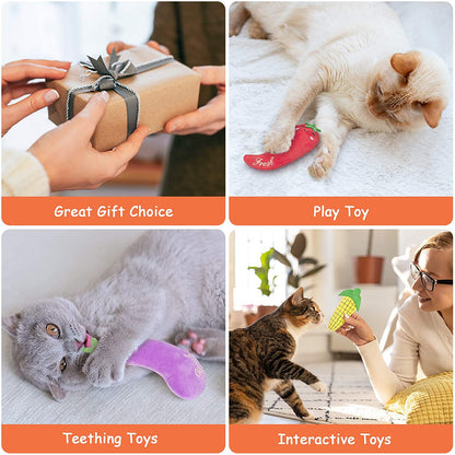 Premium Interactive Catnip Toys for Indoor Cats and Kittens - Chew and Pillow Options